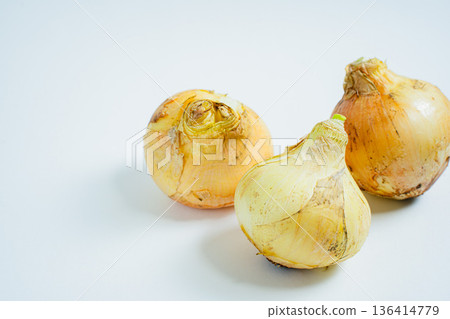 白色背景上的青蔥 136414779