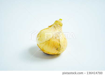 白色背景上的青蔥 136414780