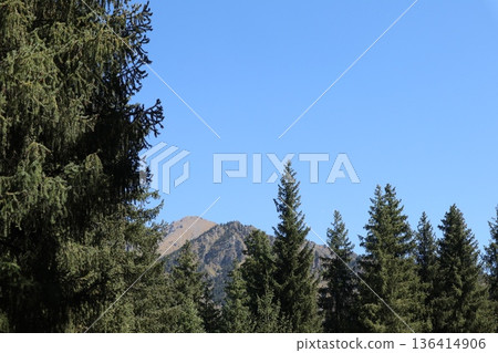 在中國絲路旅行:烏魯木齊天山天池風光 在中國絲路旅行:烏魯木齊天山天池風光 136414906