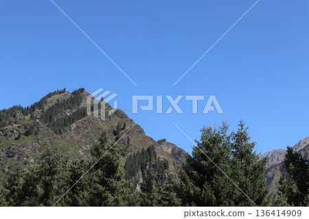 Traveling along the Silk Road in China: Scenery of Tianshan Tianchi in Urumqi 136414909