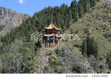 在中國絲路旅行:烏魯木齊天山天池風光 在中國絲路旅行:烏魯木齊天山天池風光 136414995