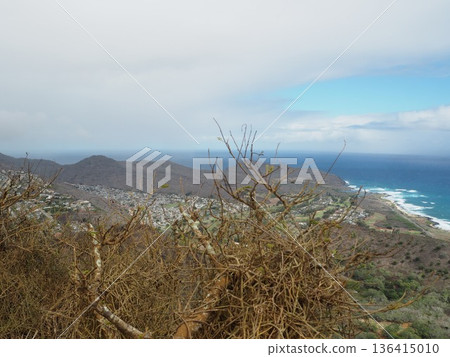 從可可角步道 (Koko Head Trail) 可以欣賞到美麗的景色，這是夏威夷很受歡迎的活動。 136415010