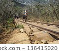 A beautiful view from Koko Head Trail, a popular activity in Hawaii 136415020