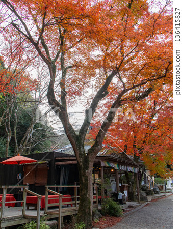 Autumn in Shiga Prefecture 136415827