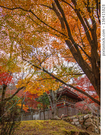 Autumn in Shiga Prefecture 136415828
