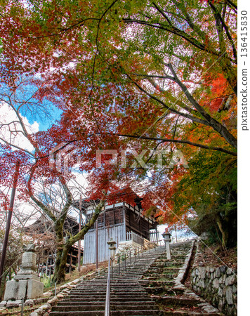 Autumn in Shiga Prefecture 136415830