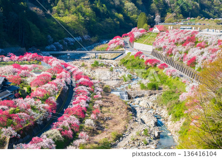 Hanamo no Sato Hanamo no Sato 136416104