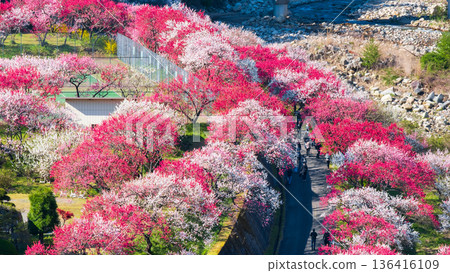 Hanamo no Sato Hanamo no Sato 136416109