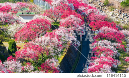 Hanamo no Sato Hanamo no Sato 136416110