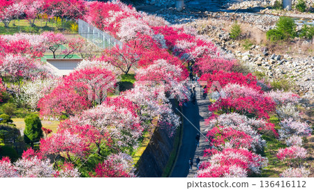 Hanamo no Sato Hanamo no Sato 136416112