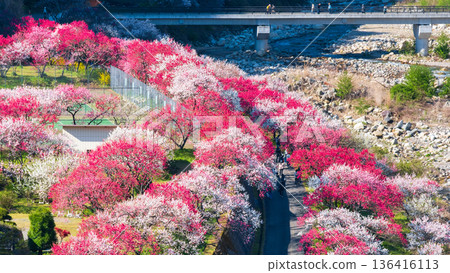 Hanamo no Sato Hanamo no Sato 136416113