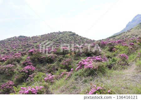 Mount Aso, Kumamoto Prefecture, Kyushu 136416121