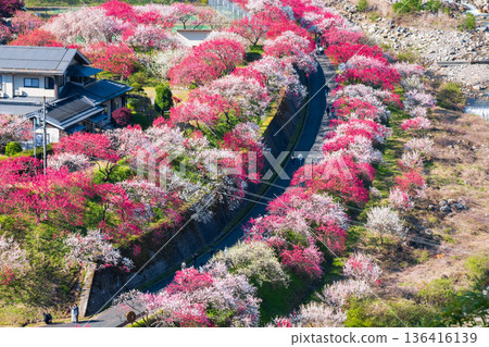 Hanamo no Sato Hanamo no Sato 136416139