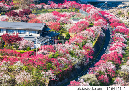 Hanamo no Sato 136416141