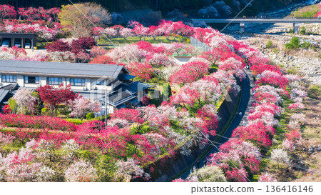 Hanamo no Sato Hanamo no Sato 136416146