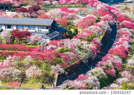 Hanamo no Sato Hanamo no Sato 136416147