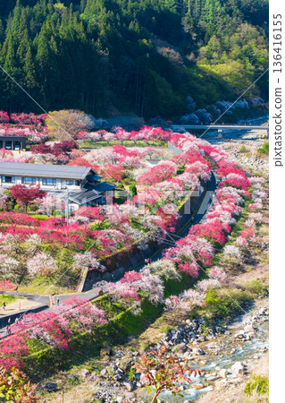 Hanamo no Sato 136416155