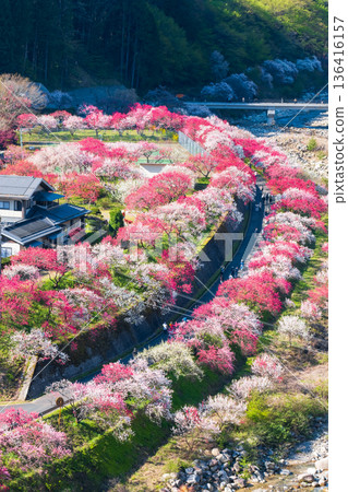 Hanamo no Sato Hanamo no Sato 136416157