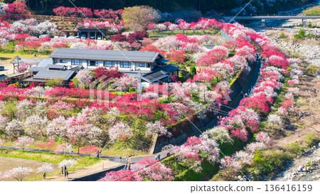 Hanamo no Sato 136416159