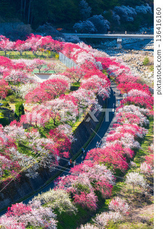 Hanamo no Sato 136416160