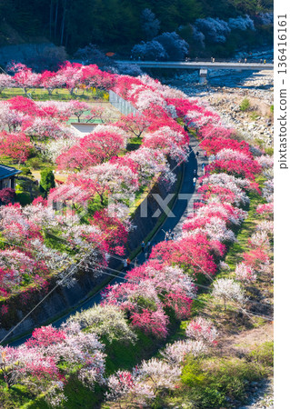 Hanamo no Sato 136416161