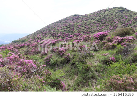 Mount Aso, Kumamoto Prefecture, Kyushu Mount Aso, Kumamoto Prefecture, Kyushu 136416196
