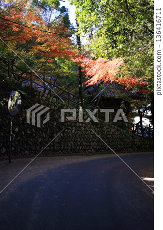 A cut-through decorated with autumn leaves and two women A cut-through decorated with autumn leaves and two women 136416711