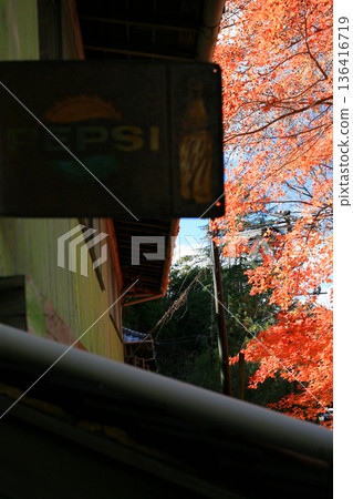 Old shop sign and autumn leaves in a tourist spot Old shop sign and autumn leaves in a tourist spot 136416719
