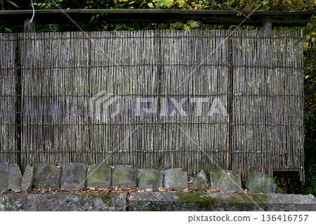 Old reed fence 136416757