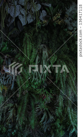 Herb wall, plant wall, natural green wallpaper and background. Herb wall, plant wall, natural green wallpaper and background. 136417118