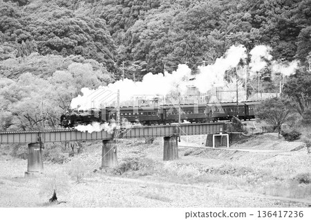 Steam locomotive of Oigawa Railway 136417236