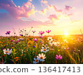 Pastel wildflowers bloom across a minimal meadow, celebrating spring growth 136417413