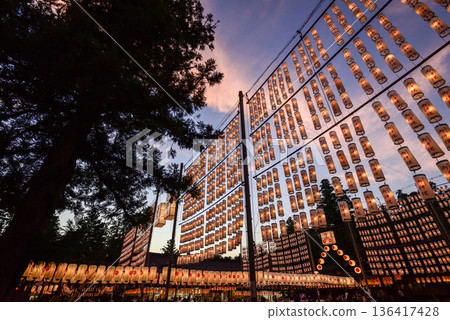 Taga Taisha Lantern Festival (light-up) Taga Taisha Lantern Festival (light-up) 136417428