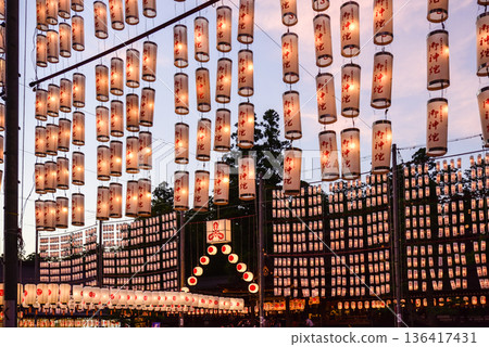 Taga Taisha Lantern Festival (light-up) Taga Taisha Lantern Festival (light-up) 136417431