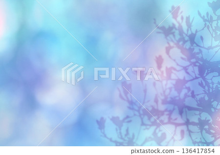 一朵盛開的玉蘭花在柔和的陽光下勾勒出優美的輪廓 一朵盛開的玉蘭花在柔和的陽光下勾勒出優美的輪廓 136417854