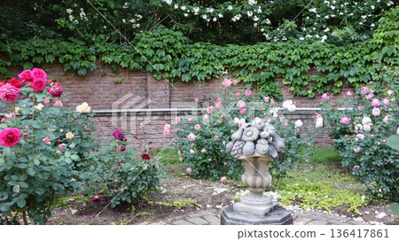 A rose landscape at Nanatsubo Park 136417861