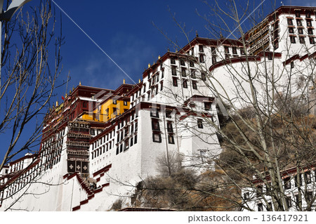 The Legendary Potala Palace in Tibet The Legendary Potala Palace in Tibet 136417921