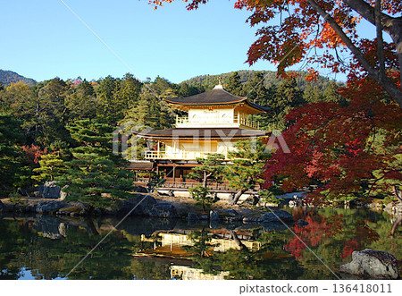 金閣寺舍利殿和池塘中秋葉的倒影 136418011