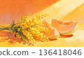 Golden Wattle and Honeydew Melon in Warm Light - Healing Still Life Illustration 136418046
