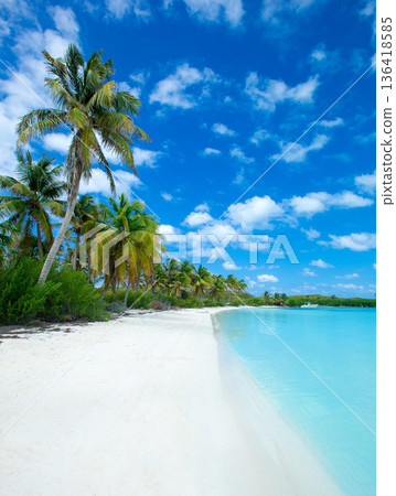 beach and tropical sea 136418585