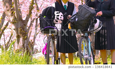 春天，兩個高中女生推著腳踏車沿著一排櫻花樹走。 136418641