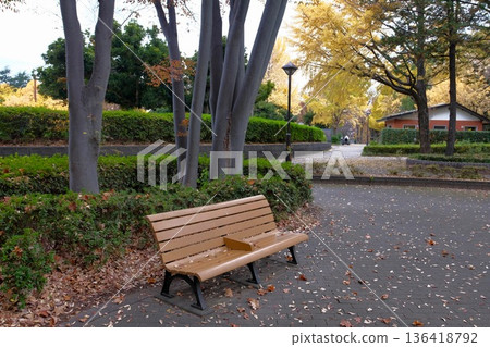 Johoku Central Park in autumn 136418792