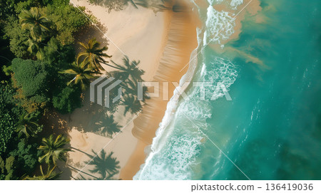 Tropical beach. Summer vacation on a tropical island with beautiful beach and palm trees. Tropical Maldives. 136419036