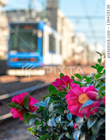都電荒川線的風景 都電荒川線的風景 136419136