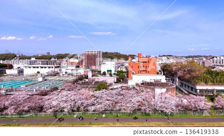 橫濱市港北區│鶴見川沿岸的櫻花樹及新橫濱地區的景色│春季無人機航拍 橫濱市港北區│鶴見川沿岸的櫻花樹及新橫濱地區的景色│春季無人機航拍 136419338
