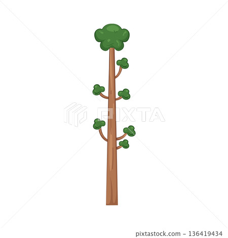 Illustration of tree 136419434