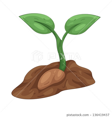 Illustration of sprouting plant growing from soil Illustration of sprouting plant growing from soil 136419437