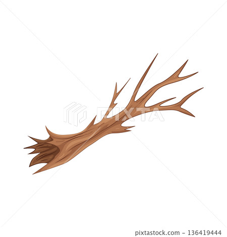 Illustration of gnarled tree branch Illustration of gnarled tree branch 136419444