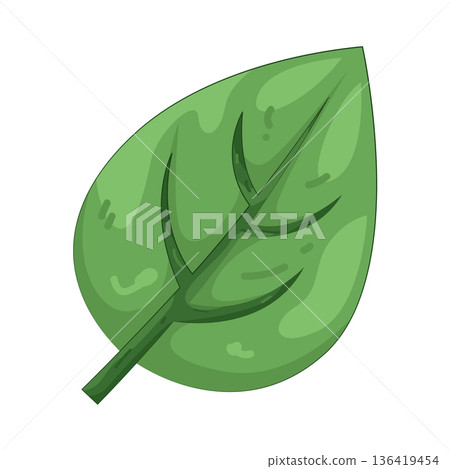 Illustration of leaf Illustration of leaf 136419454