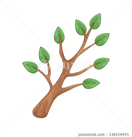 Illustration of tree branch with leaves 136419455